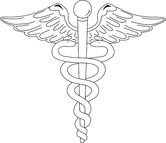 logo3