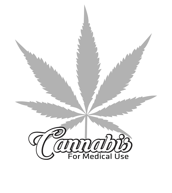 logo4